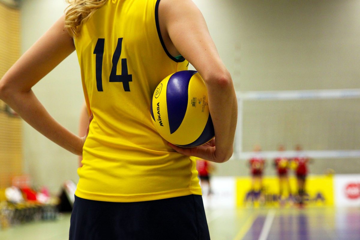 Afbeelding volleybal