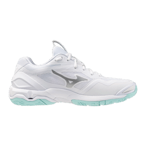 Mizuno Wave Stealth 6 WOS - Handbalschoenen - Dames - Wit/Blauw