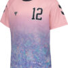 hummel shimmer trainingset