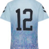 hummel shimmer trainingset