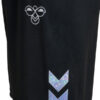 hummel shimmer trainingset
